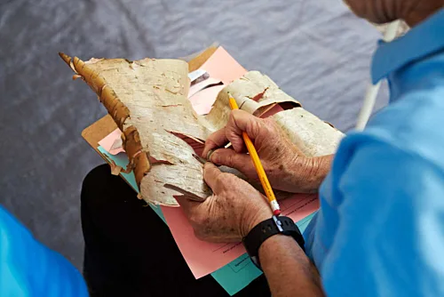 Archeologie experimentale