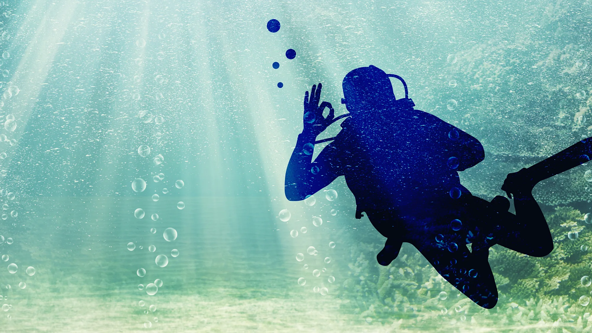 Plongedanslepasse 16 9